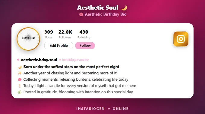 Aesthetic Birthday Bio For Instagram